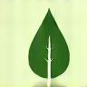 Leaf icon representing natural ingredients